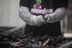 4 Adet 3 Lt acısız Şalgam