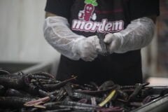 4 Adet 3 Lt acısız Şalgam